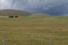 DSC_0155.NEF