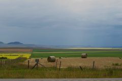 DSC_0160.NEF